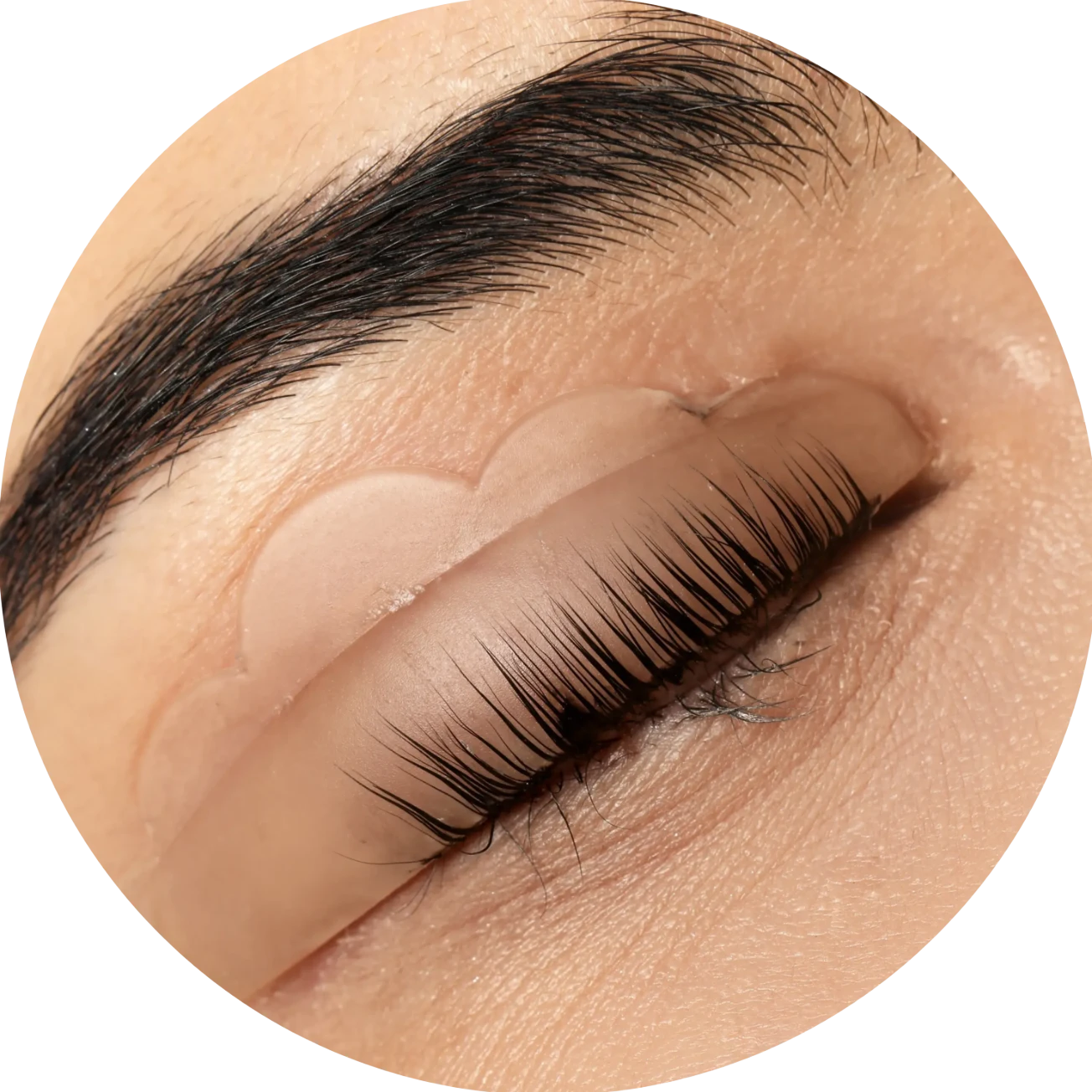 Eyelash_Lift_and_Tint_Image