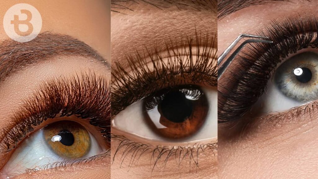 Classic, Volume, Mega, and Hybrid Lashes