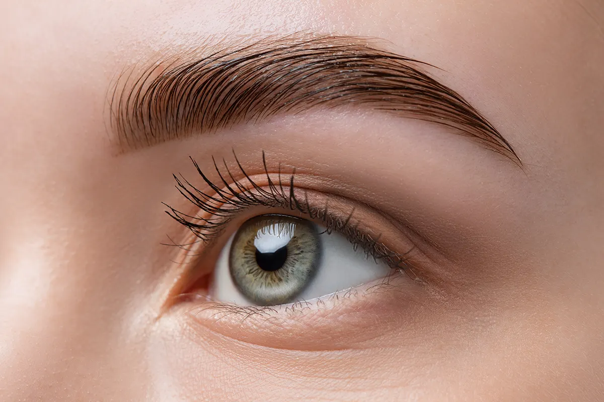 Eyebrow lamination (6)